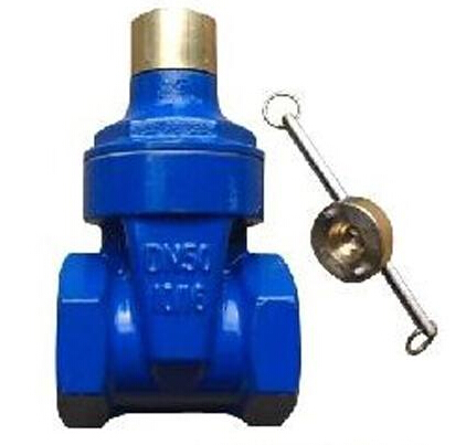 Small Size Metal Resilient Seated Gate Valve For Water Meter With Thread End DN 25 1