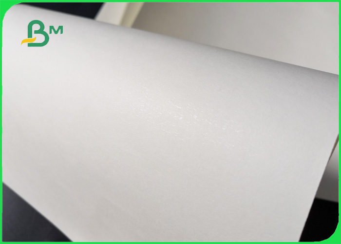 Biodegradable 160GSM + 10GSM PE Laminated Paper For Single Wall Paper Cup