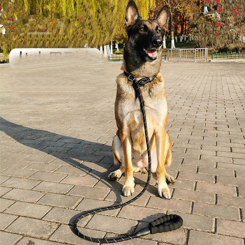 easy lead dog leash