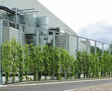 Green plants are on the stainless steel rope mesh which is outside of a factory.
