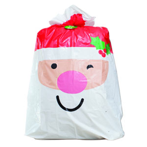 Large Plastic Bag