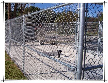 chain-link-fence (1)_.jpg