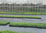 1-6 fournisseur agricole de tapis de mauvaise herbe de noir de largeur de Metere anti par l'usine/fabricant sincères dans la NC
