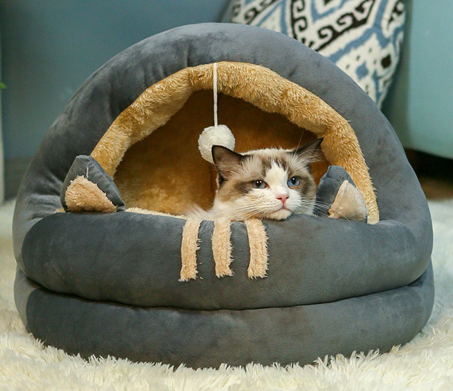 cheap cat beds amazon