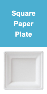 Square Paper Plate