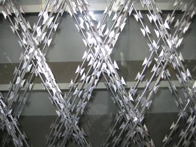 stainless steel razor wire (fence)
