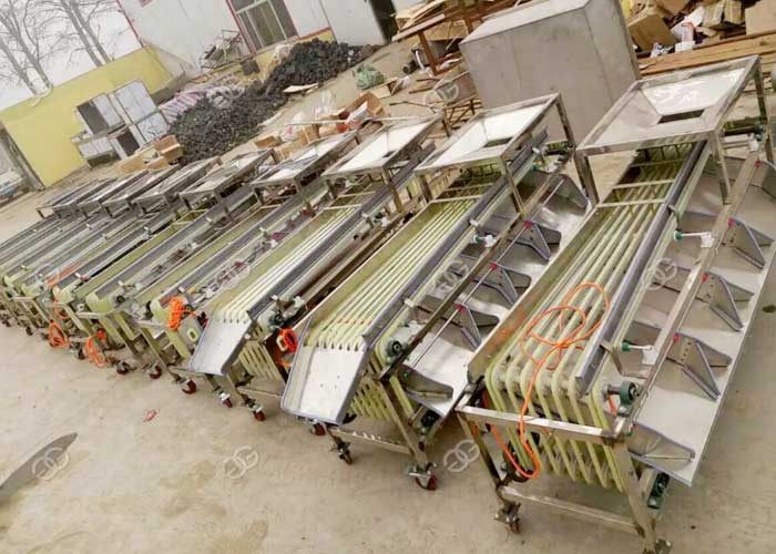 automatic dates sorting and grading machine
