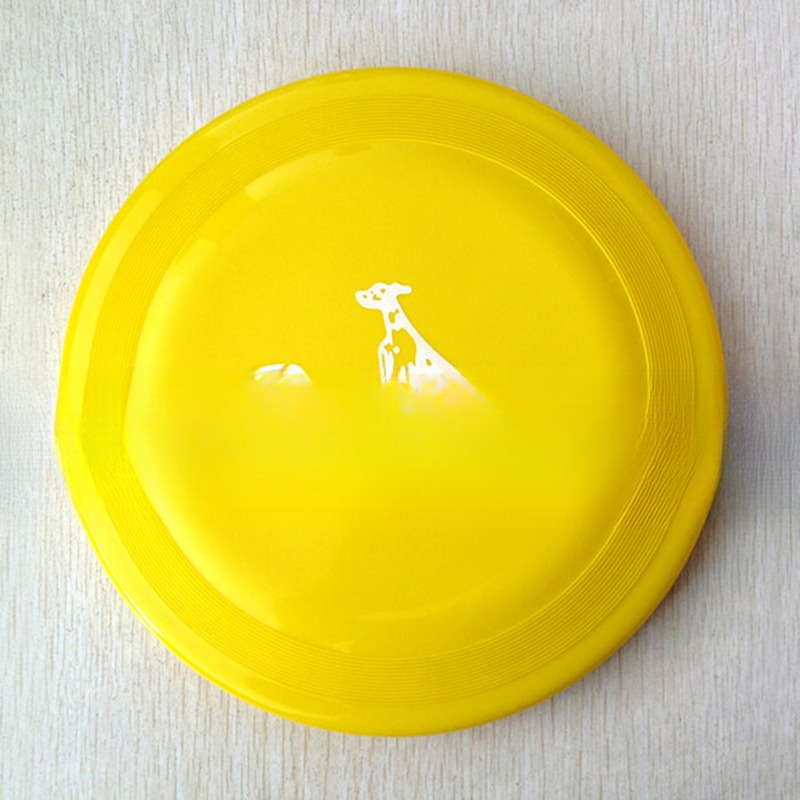 custom made plastic injection frisbee injection mould