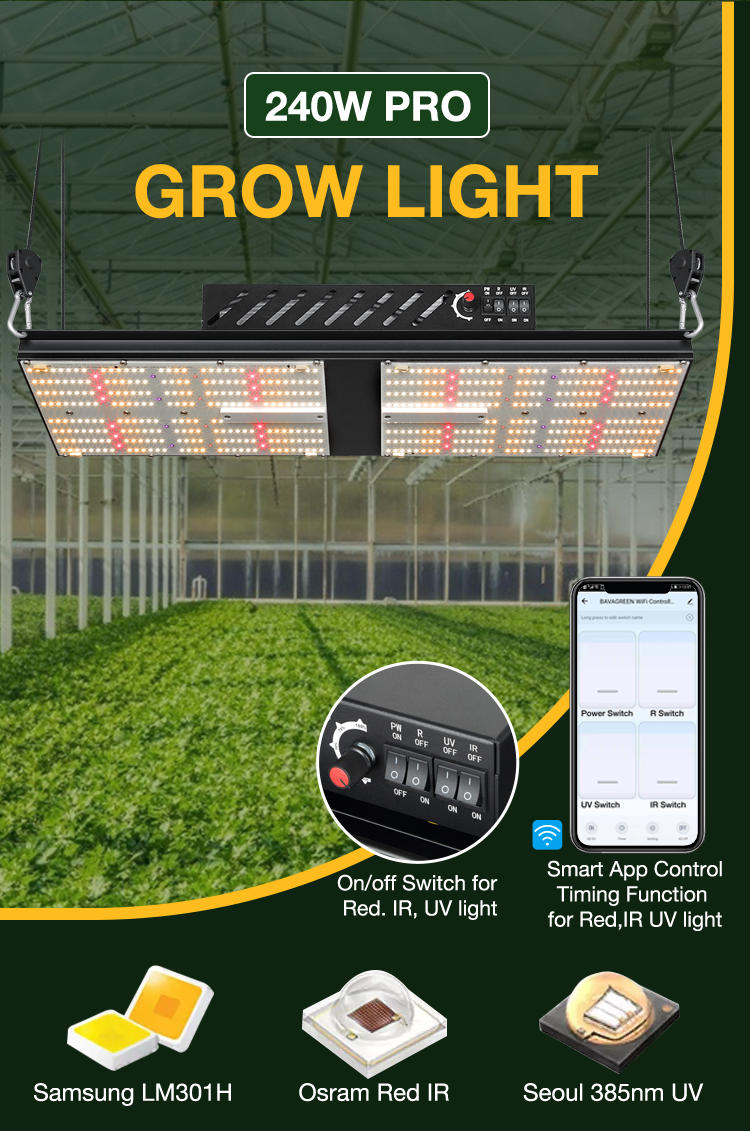 BAVAGREEN 240W Pro full spectrum SAMSUNG LM301H LED Grow Light for cannabis 0