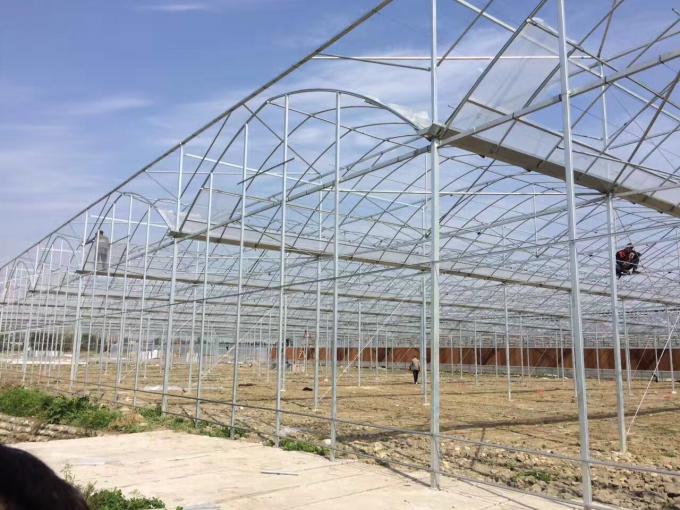Multispan Sprinkler Irrigation 9m Agricultural Greenhouse 0