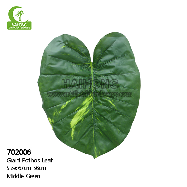 giant photots leaf