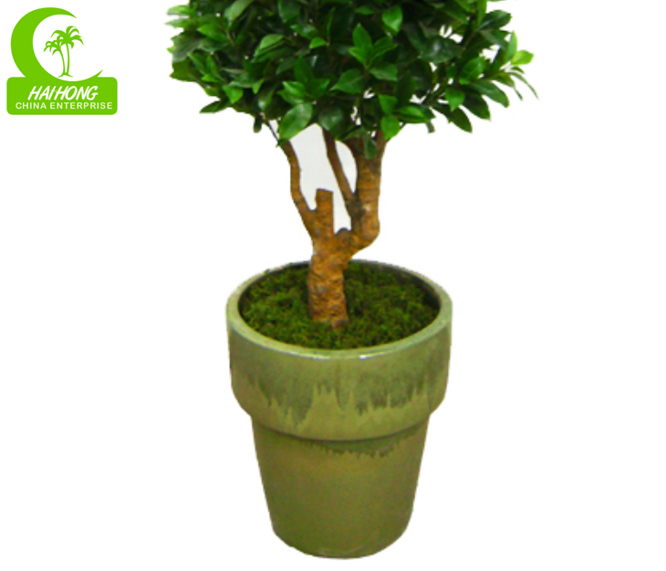 artificial money tree plant