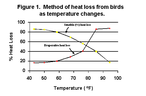 Figure 1. Method of Heat Loss from Birds as Temperature Changes
