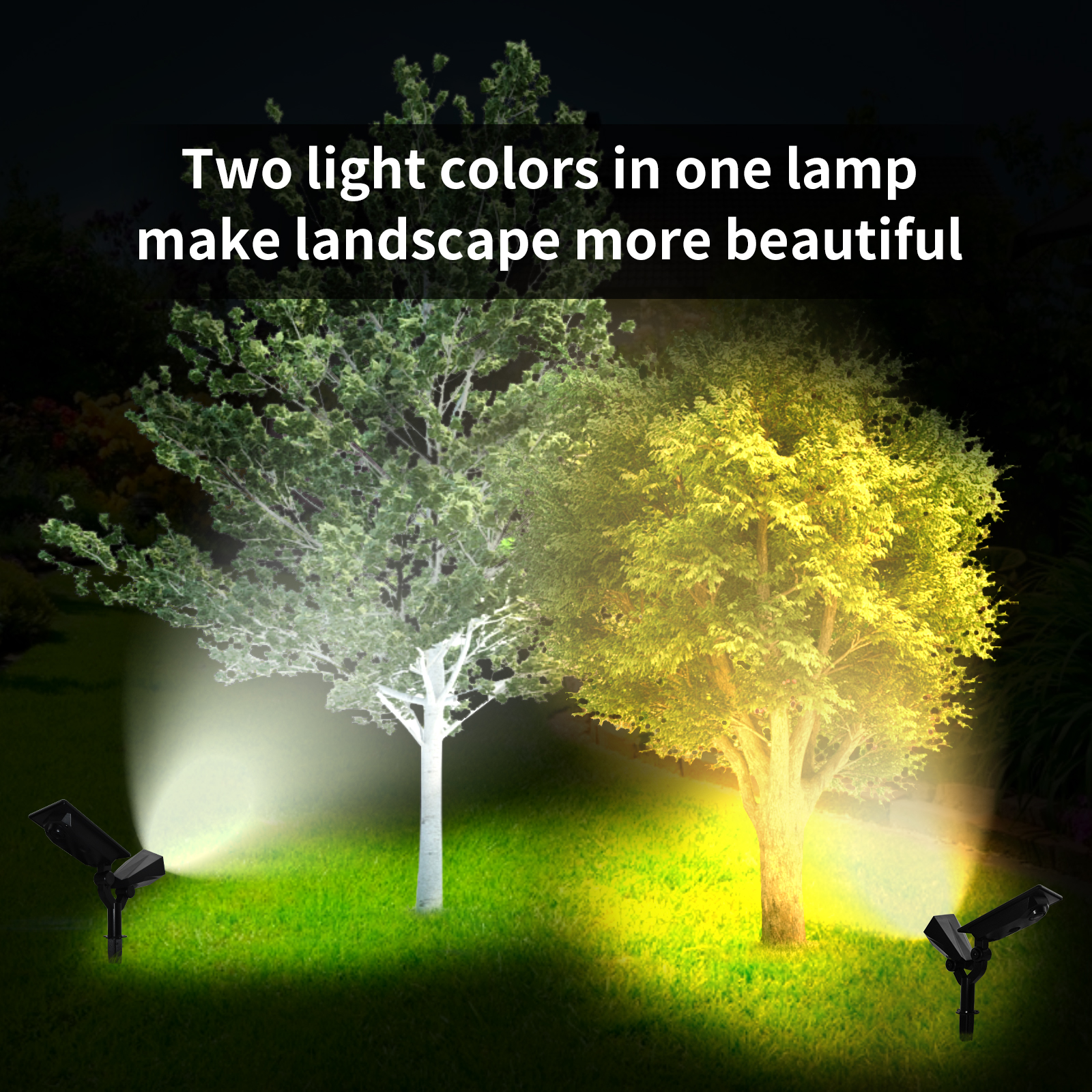 Two-in-one adjustable outdoor light