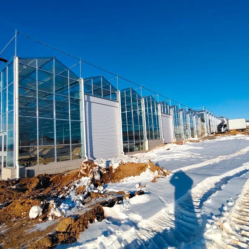 Innovative Multi-Span Film Greenhouse for Vertical Farming