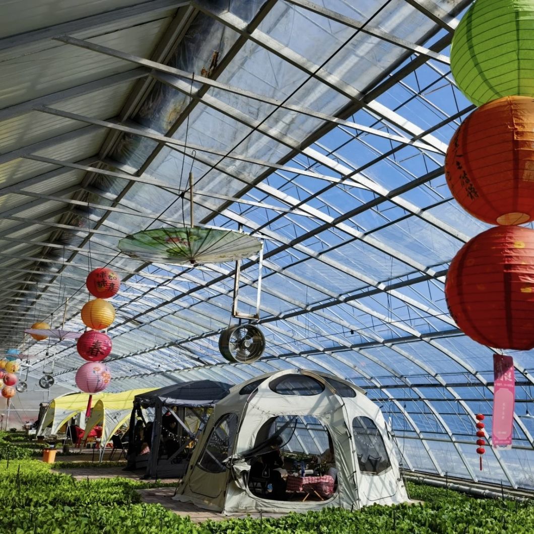 Flower Planting Drip Irrigation Vegetable Sunlight Greenhouse System