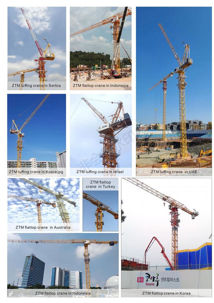 8.ZTM tower crane overseas project