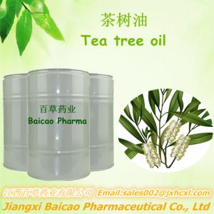 China 100% Pure Tea tree oil Exported in Bulk Quantity on sale 