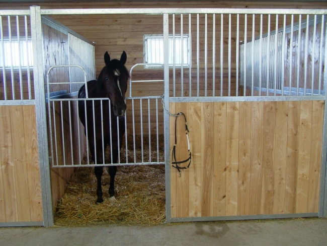 Classic Horse Stall Fronts With Divider Solid Back Wall U Channels Connectors