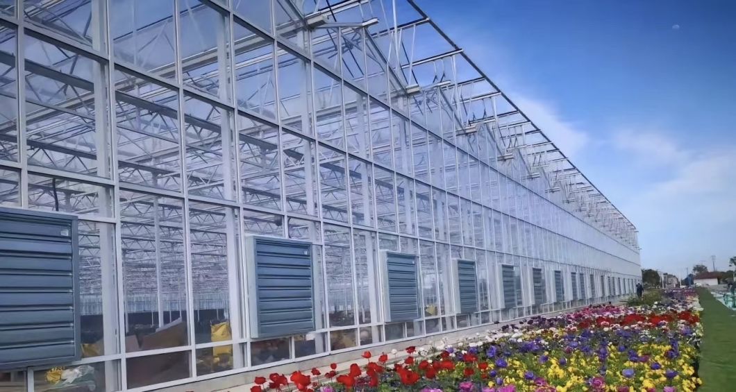 Cheap Vegetable Planting Glass Greenhouse with Drip Irrigation