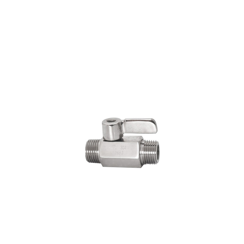 Water Fittings Mini Ball Valve Double Male Thread with Stainless Steel Handle