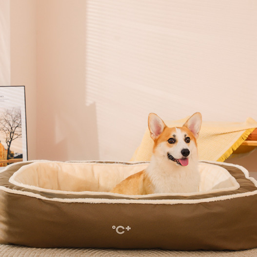 extra large dog beds with sides