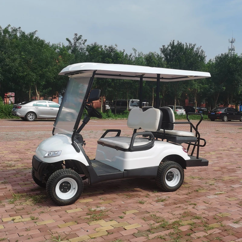 Raysince Latest Model Golf Car 4 Seats Mini Golf Cart with Seat with Good Quality