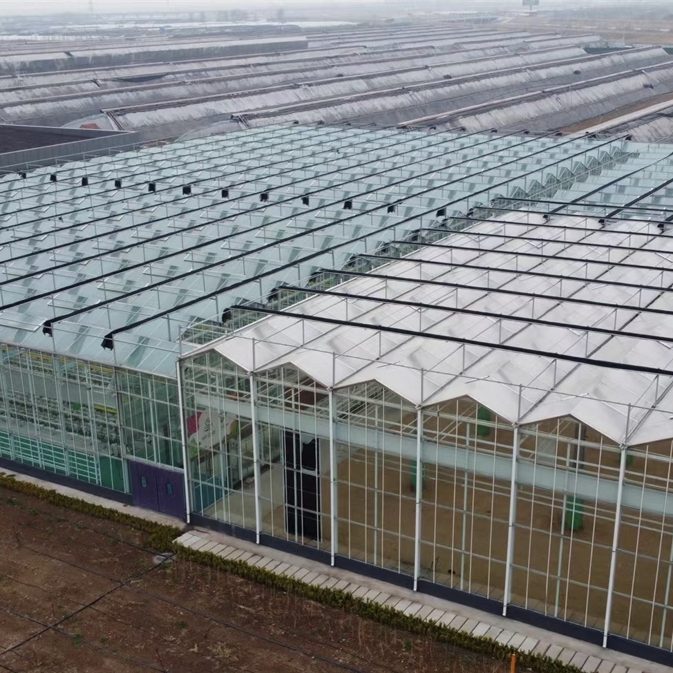 Glass Greenhouse with Hydroponic System