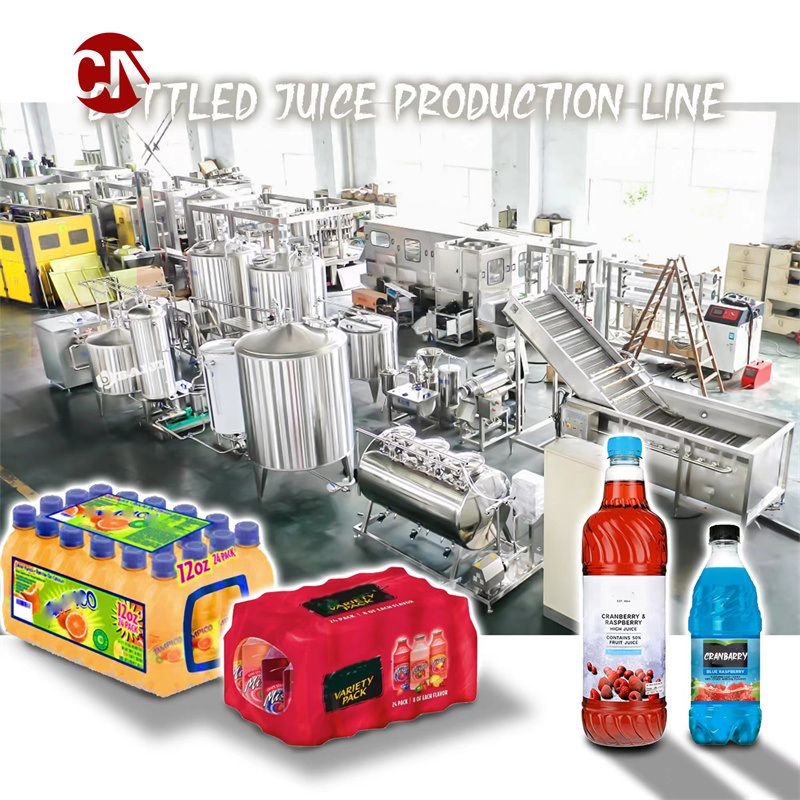 Automatic Fruit Juice Processing Plant / Equipment /Drinking Water Production Line