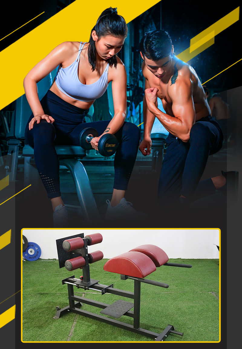 Commercial Gym Exercise Equipment Back Extension Bench Roman Chair