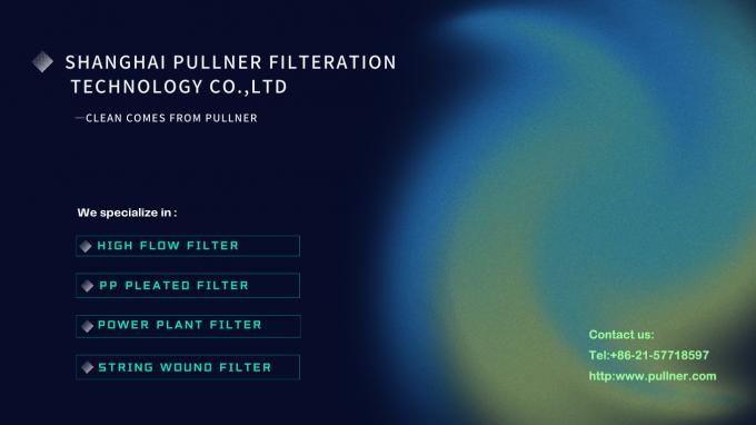 PLZ-PPL Series Pleated PP Filter Cartridge Membrane Filter Cartridge Used To Liquids And Gases 5