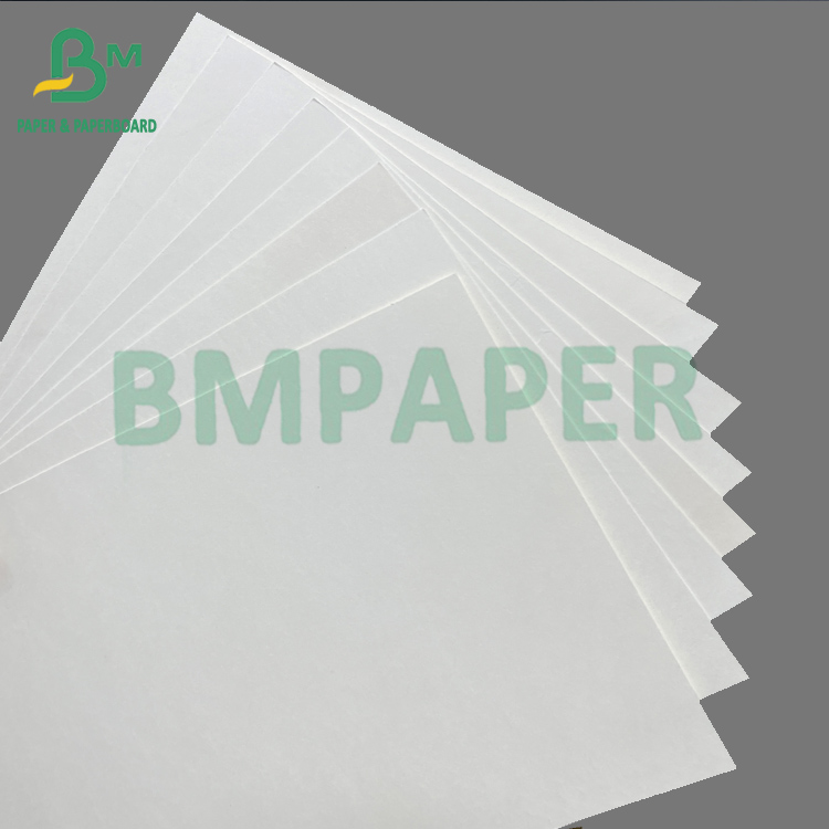 180gsm + 18gsm Single Side PE Coated White Cup Paper Bowls Paper