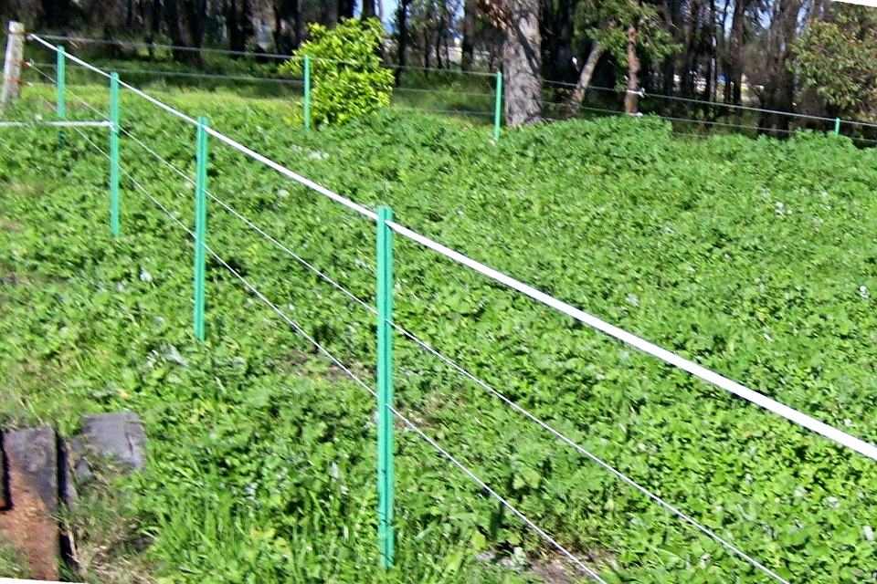 Plastic Electric Fence Post for Animal farm