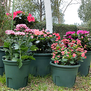 pots for plants