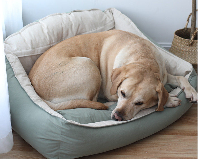 the best dog beds for large dogs