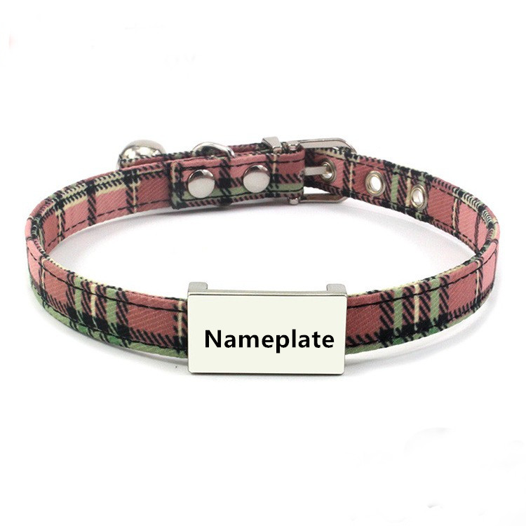 dog collar with name plate
