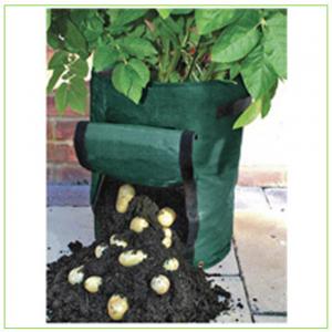 China Potato planting bag PE grow bag on sale 