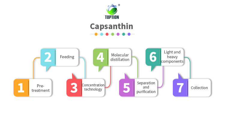 extraction of the capsanthin 