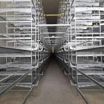 Galvanized 3-10Tiers H Type Layer Cage , 384 Chicken Egg Laying Cages