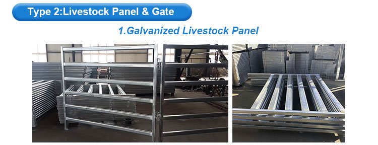 Cheap Price High Strength Hot Dip Galvanized or Powder Coated Cattle Feed Panel