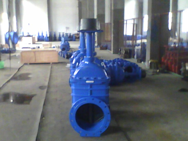 Anti - Corrosion Extend Stem Resilient Seated Gate Valve With Surface Box DN50 1