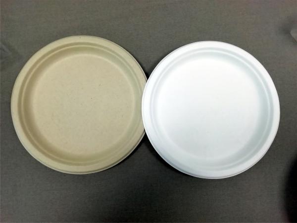 10 inch disposable plates