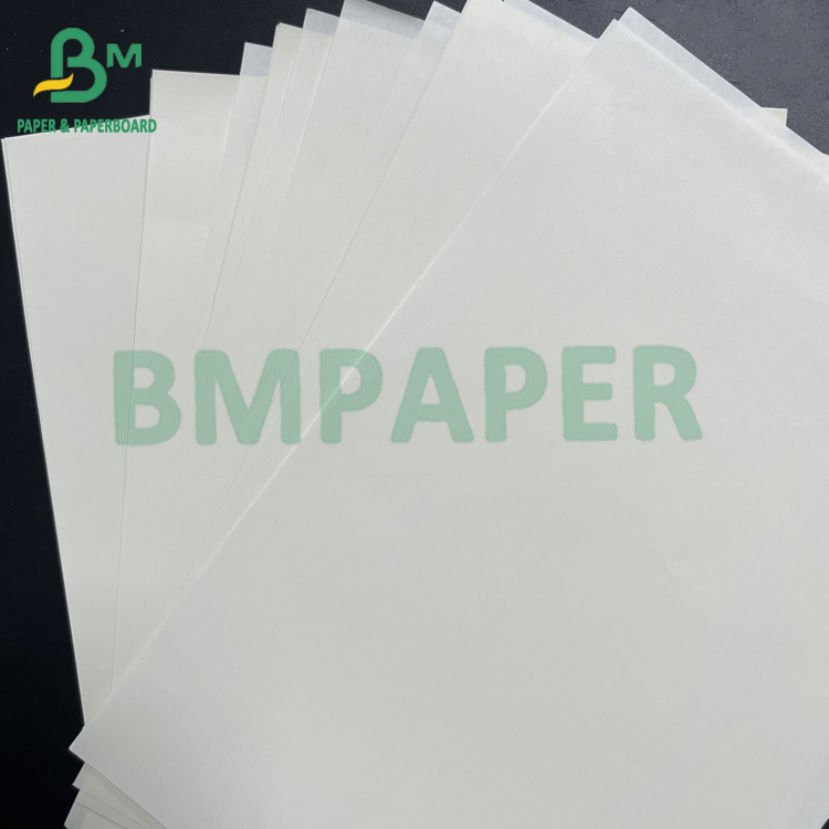 55gsm 58gsm Writing Printing Grade Woodfree Maplitho Paper In Roll width 77cm