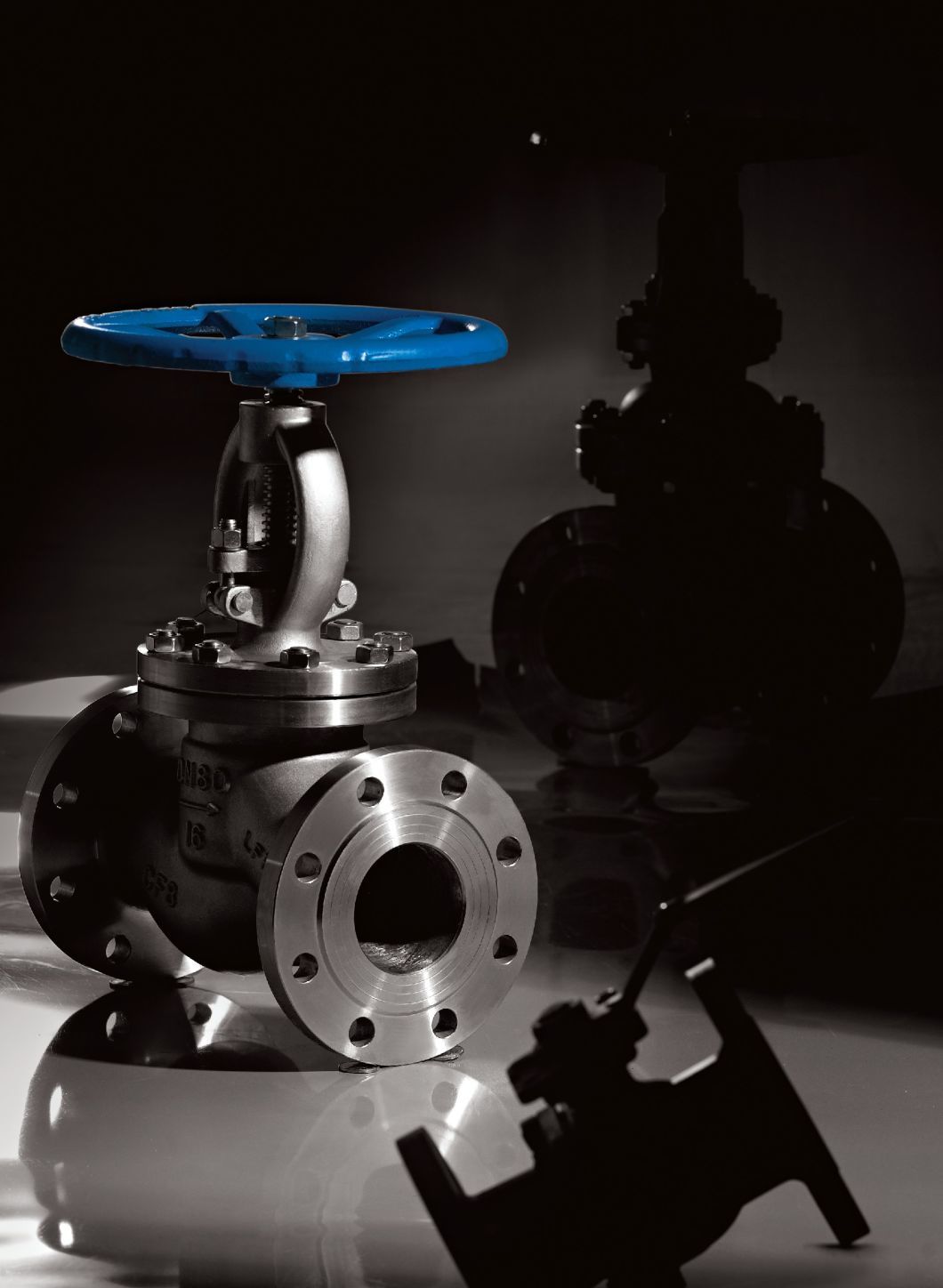 DIN Gate Valve (3202-F4/F5) with CE/ISO9001 Certificates