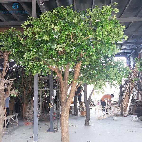 Eco Friendly Artificial Decorative Trees Polyscias Leaves Tree