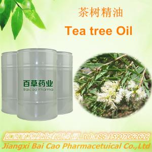 China 100% pure Tea tree essential oil on sale 
