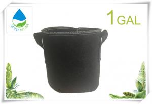 China Fabric Pots/ Grow Bags/ Gardening Containers/Polyester fiber grow Bags 1 Gallon without handles on sale 