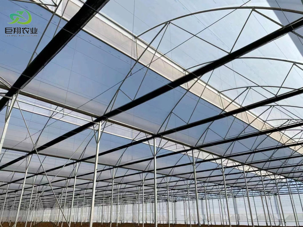 Agricultural Single-Span Tunnel Film Blackout Mushroom Greenhouse with Light Deprivation System for Medical Plants and Mushroom USA/Ca