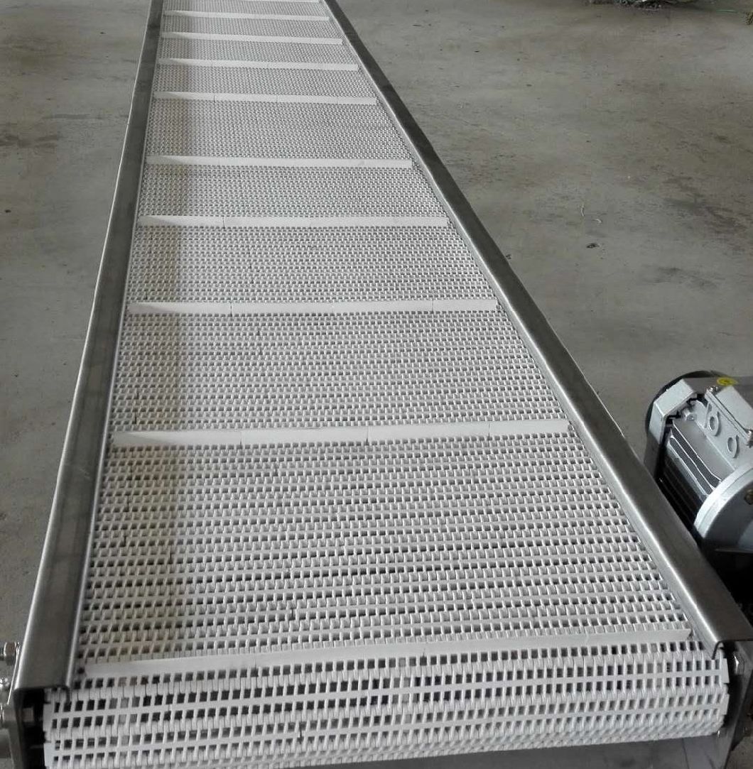 Plastic Conveyor Belts with 27.2mm Pitch for Conveyor System