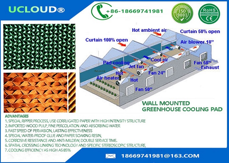 Wholesale CE certificated evaporative cooling pad for poultry farm house/greenhouse/industry